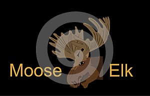 Moose head vector illustration isolated on black background.