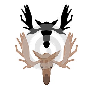 Moose head vector illustration style Flat