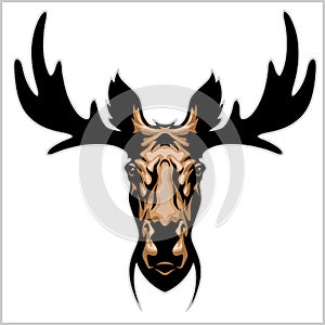 Moose head - on white