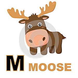 Moose