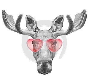 Moose in Love! Portrait of Moose with sunglasses, hand-drawn illustration