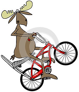 Moose popping a wheelie on a bicycle photo