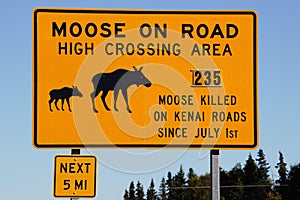 Moose on road yellow warning road sign photo