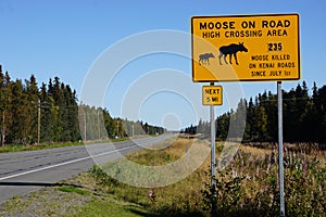Moose on road yellow warning road sign photo