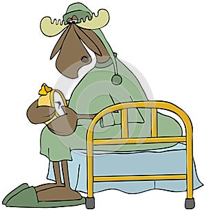 Moose setting his alarm clock