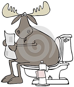 Moose sitting on a toilet