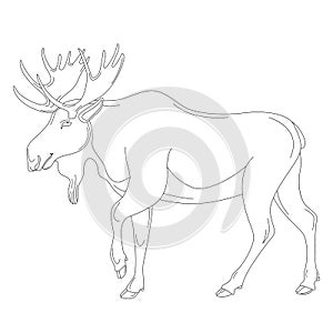 Moose, vector illustration , lining draw profile