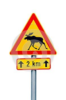 Moose warning sign