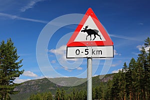 Moose warning sign in Agder, Norway photo