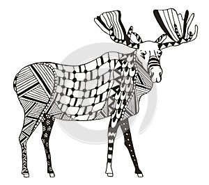 Moose zentangle stylized, vector, illustration, freehand pencil.