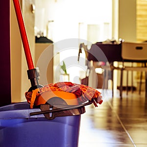 Mop and bucket, to clean the floor