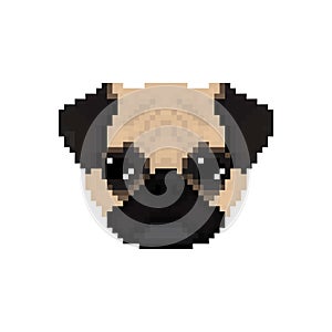 Mops dog head in pixel art style.