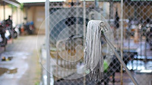 Mops drying in the backyard of the house