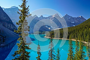 Moraine lake beautiful landscape in summer sunny day. Banff National Park.
