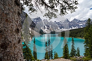 Moraine Lake during the summer in the Canadian Rockies Banff