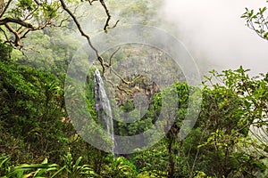 Morans falls on Morans Creek in Gondwana Rainforests, Queensland, Australia photo