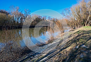 Morava river among autumn forests photo