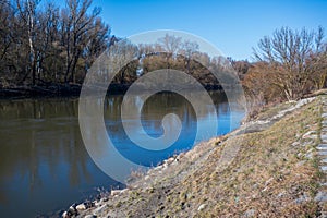 Morava river among autumn forests photo