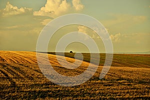 The Moravian Field on HanÃÂ¡