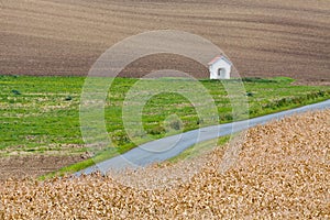 Moravian Fields.