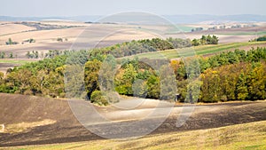 Moravian Fields