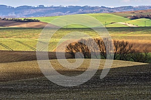 Moravian fields and meadows during early spring