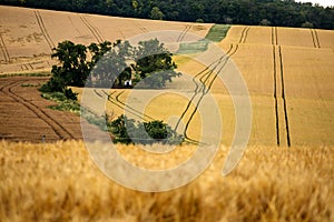 Moravian Tuscany. Field photography with many lines and grass. Rolling landscape around Kyjov, South Moravia