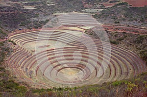 Moray agricultural terraces