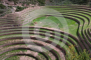 Agricultura en sagrado el valle 