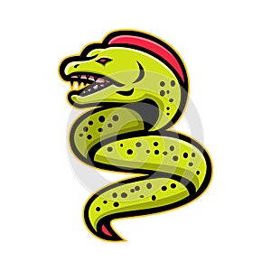 Moray Eel Sports Mascot