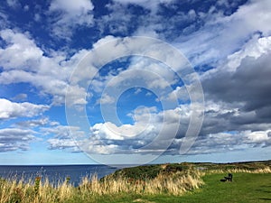 Moray Firth at Buckie, Scotland