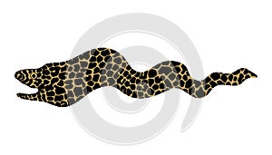Moray icon, simple drawing of conger eel spotted fish