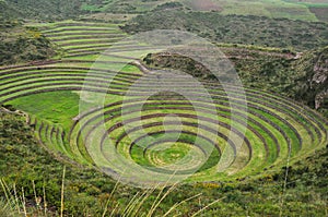 Moray Inca's ruins, Peru photo