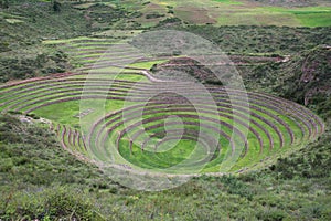 Moray Rings, Ancient Incas, Peru photo