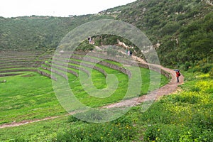 Moray Ruin in Cusco, Peru