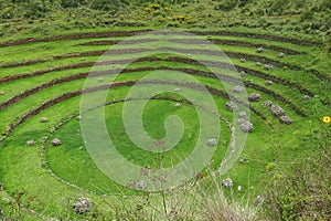 Moray Ruin in Cusco, Peru