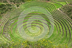 Moray Ruin in Cusco, Peru