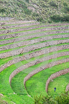 Moray Ruin in Cusco, Peru