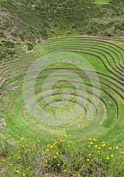 Moray Ruin in Cusco, Peru photo