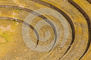 Moray ruins Cuzco Peru