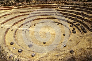 Moray site , Inca, Peru photo
