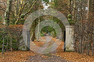 Moray, a winter driveway.