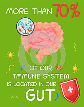 More than 70 percent of our immune system is located in our gut.