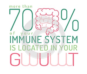 More than 70 percent of our immune system is located in our gut. Medical poster.