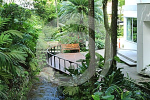 Moreira Salles Arts Institute garden plants inside photography, Rio de Janeiro, Brazil, South America. Instituto Moreira Salles