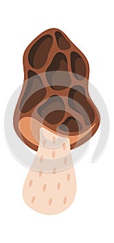 Morel conditionally edible mushroom design