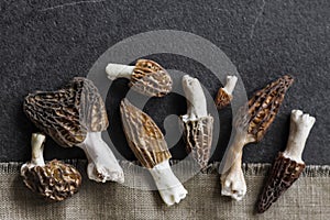 Morel mushrooms closeup on black background