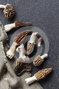 Morel mushrooms closeup on black background