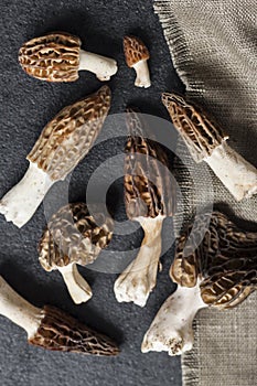 Morel mushrooms closeup on black background