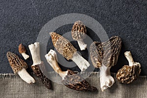 Morel mushrooms closeup on black background